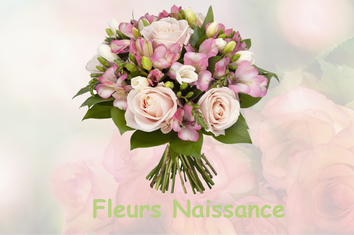 fleurs naissance COURMES