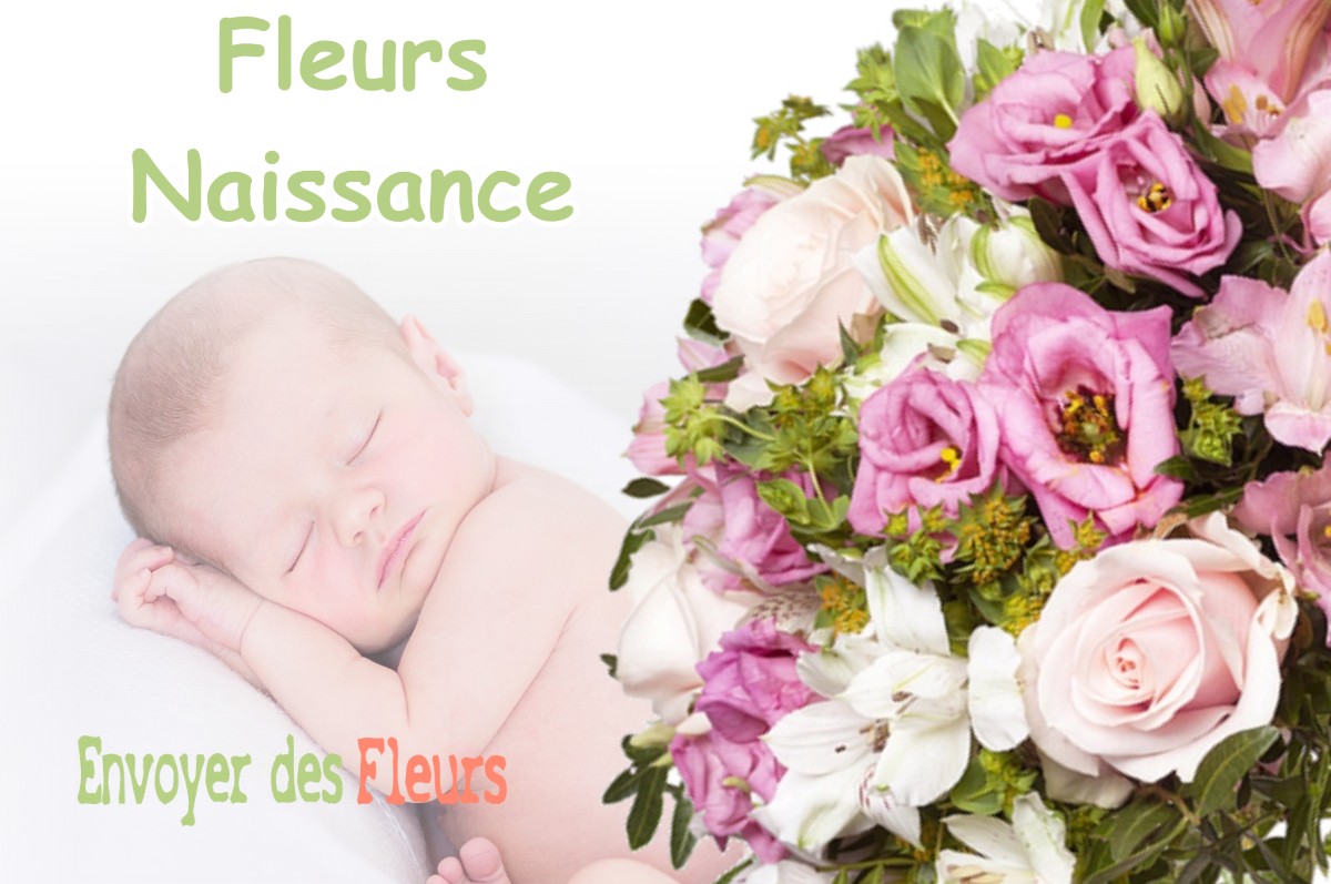 lIVRAISON FLEURS NAISSANCE à COURMES